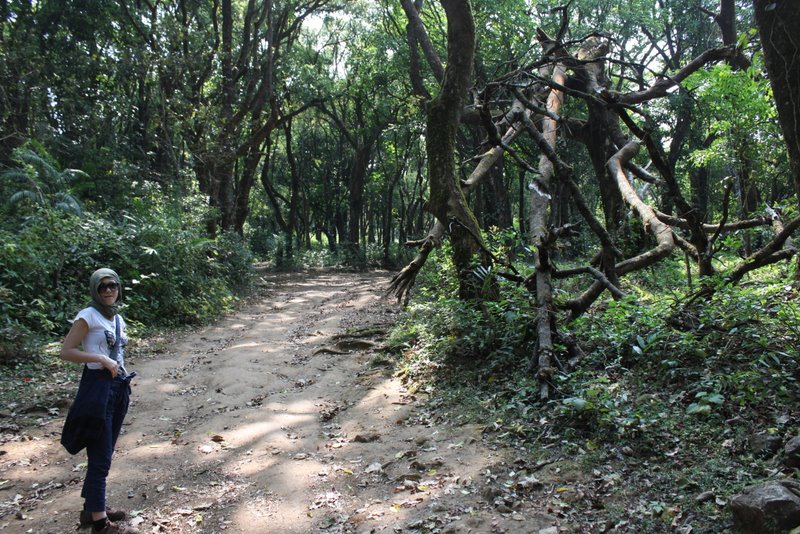The first part of the trek takes us to the 'dry pond.'